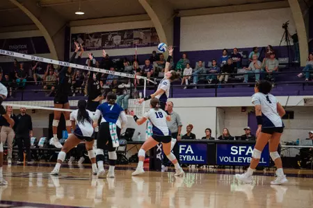 vb at mcneese recap