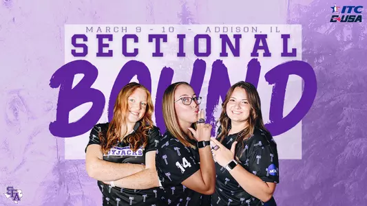 Sectional Bound
