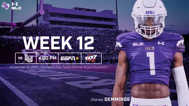 SFA FB Notes_web template_Demmings.png