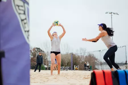 bvb at stetson