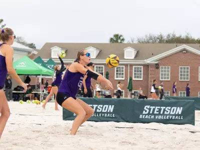 Beach Longhorn Preview