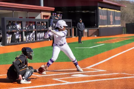 SB Mardi Gras Mambo Preview