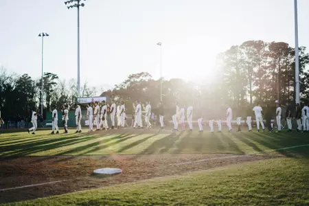 baseball preview
