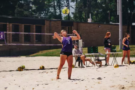 bvb battle on the bayou