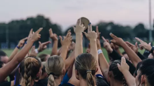 SFA-NSU Preview