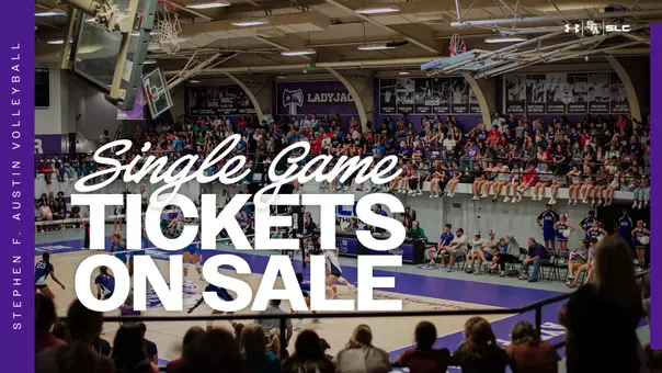 VB Single Game Tickets on Sale
