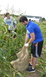 The Pirates hit the farm in Milford on Sunday to do their part in the fight against hunger