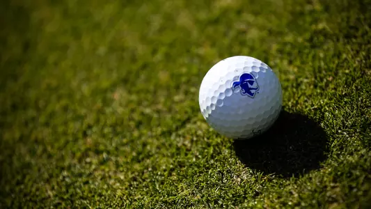 Golf Ball