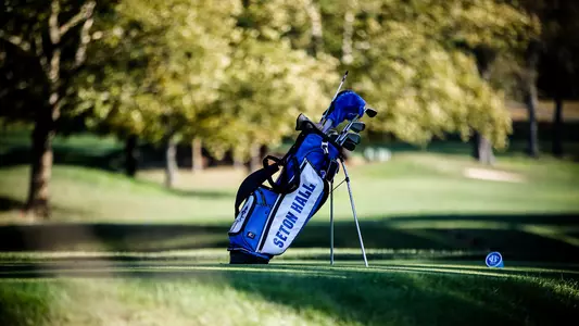 Golf bag