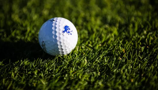 Golf Ball