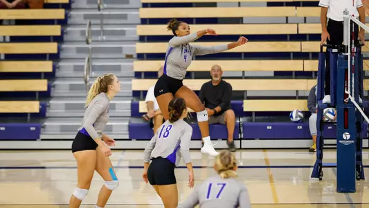 Seton Hall Women's Volleyball Team