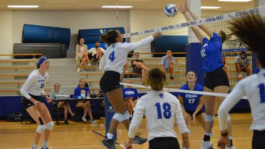 Seton Hall Women's Volleyball Team