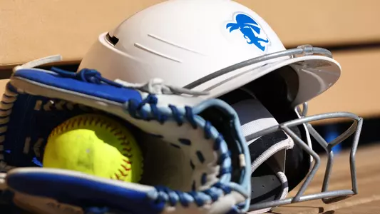 Softball Helmet and Glove