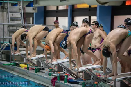 Men's swimming and diving