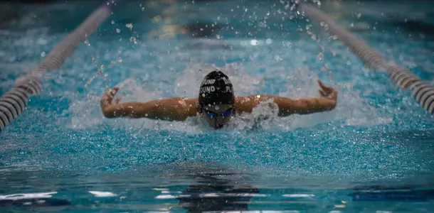 Women's swimming and diving