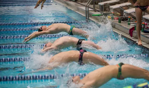 Group shot Swimming and Diving