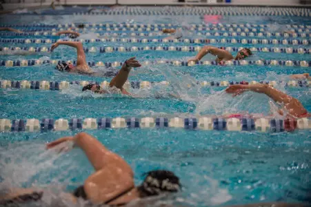 Team swimming