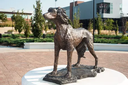 Saluki Stadium Mascot