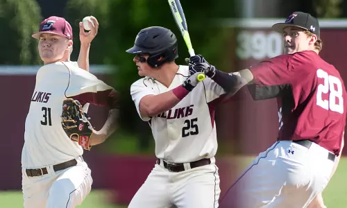 Preseason Baseball All-MVC