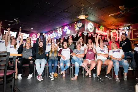 2017 Softball Selection Show