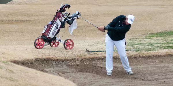 Saluki Invite - Lili Klekner-Alt