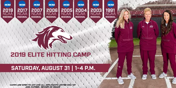 2019 Elite Hitting Camp