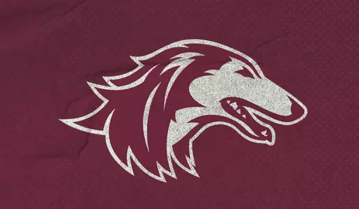 Saluki_Wheatpaste2020