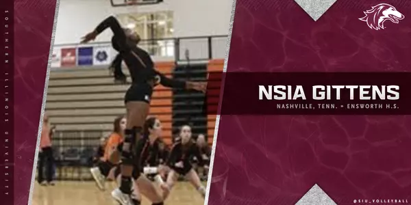 Nsia Gittens