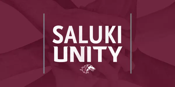 Saluki Unity 2