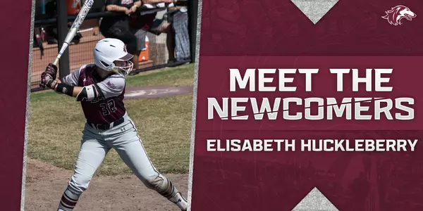 Meet the Newcomers
