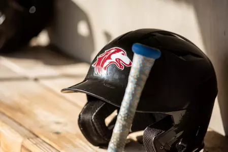 Baseball Miscellaneous