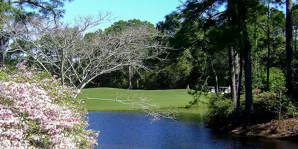 Gulf Shores Gulf Club