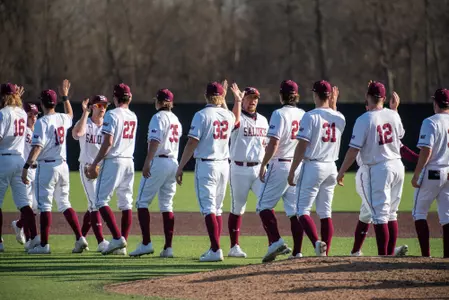 Baseball Celebration Handshake