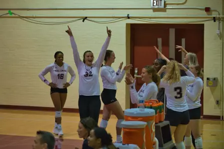 volleyballbench