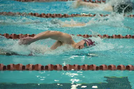 Swim and Dive Tri-meet, Senior Day
