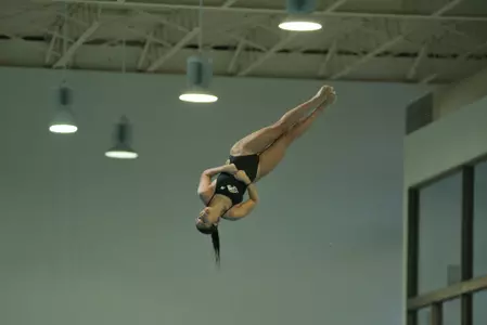Swim and Dive Tri-meet, Senior Day