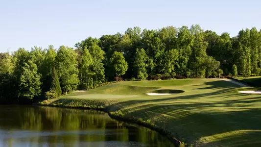 Pinetree CC
