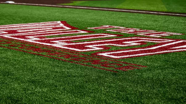 The Valley - Turf - Itchy Jones Stadium
