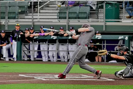 Salukis