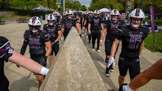 Salukis