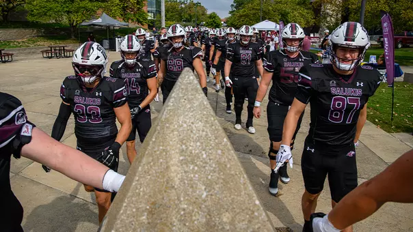 Salukis