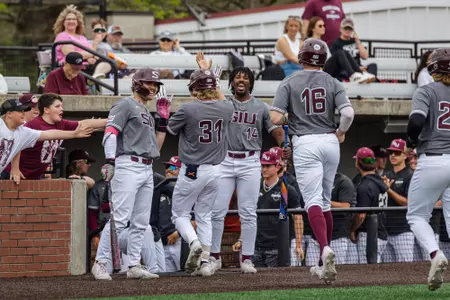 Baseball Celebration