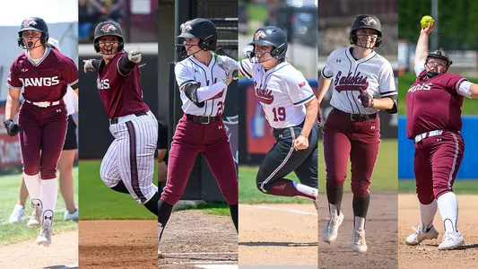 Softball Scholar-Athlete Team