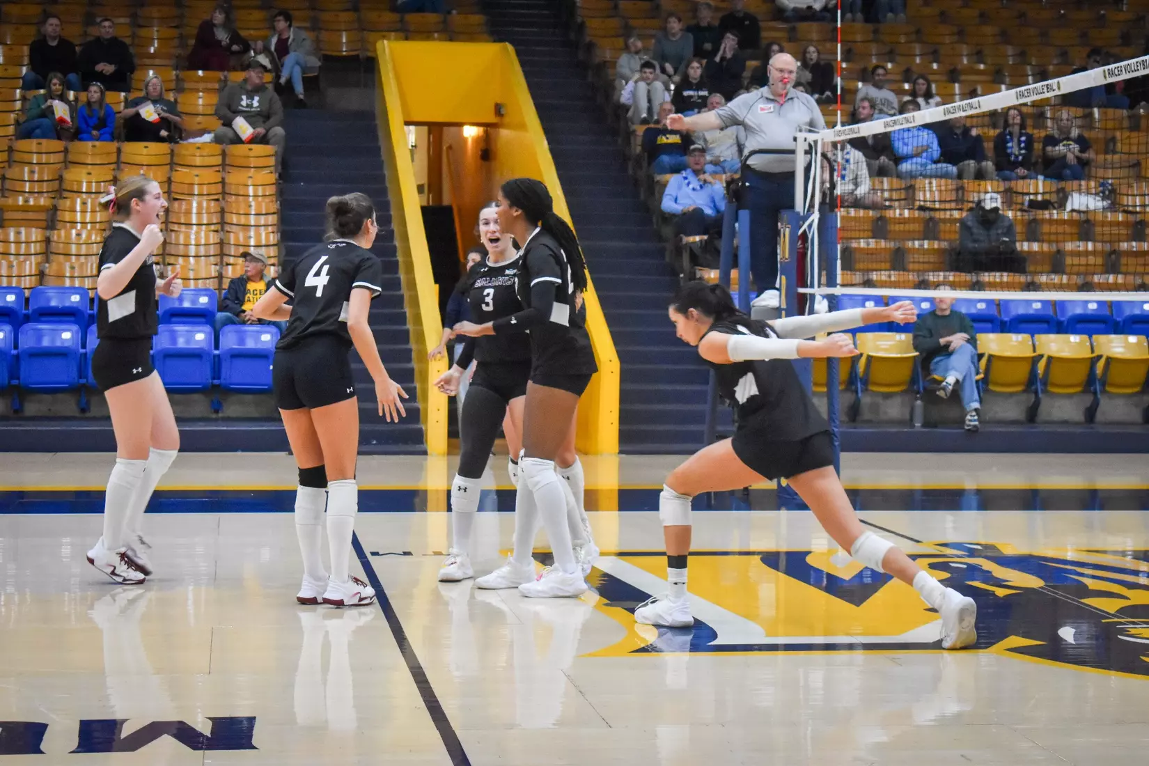The team celebrates after a point.