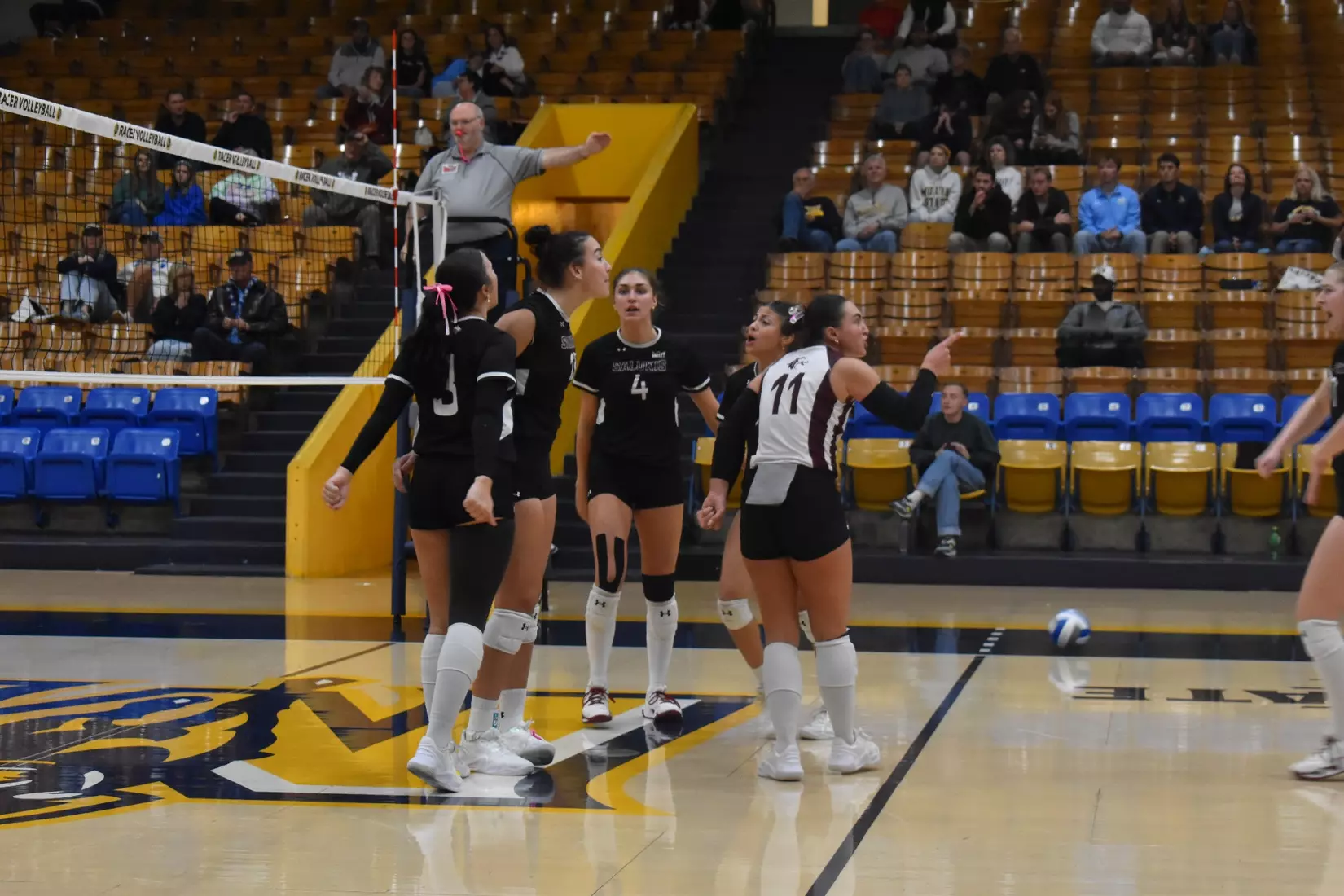 The team celebrates after a point.
