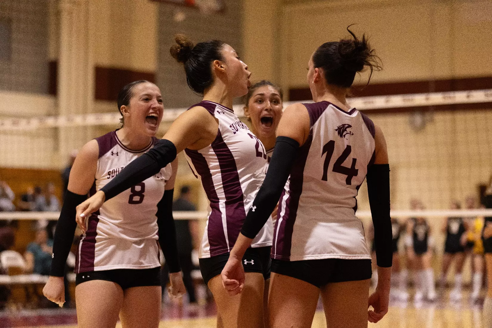 The team celebrates after a point.