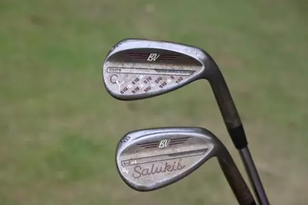 Hal Williams Collegiate