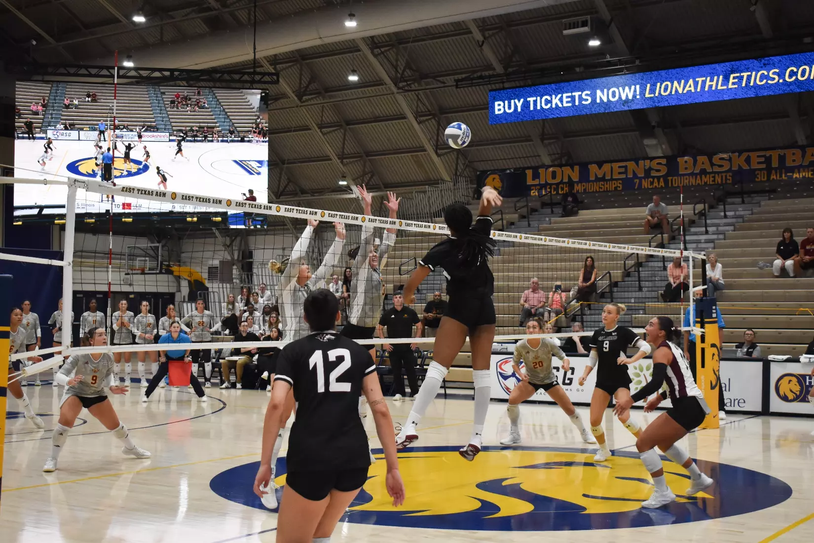 Chloe Anderson jumps up for a spike.