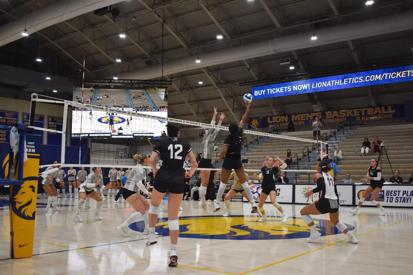 Chloe Anderson attempts to tip a ball over the Warhawk blockers.