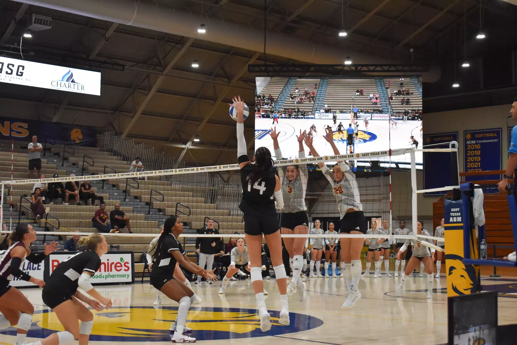 Ella Swansiger spikes a ball around the Warhawks.